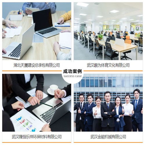 全面解析武汉若易恒创 资产评估审计与商业信息咨询服务的战略价值