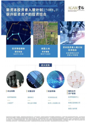 金融投资大回报，跨境财富有保障——访上海盘娲金融信息服务董事长李滨